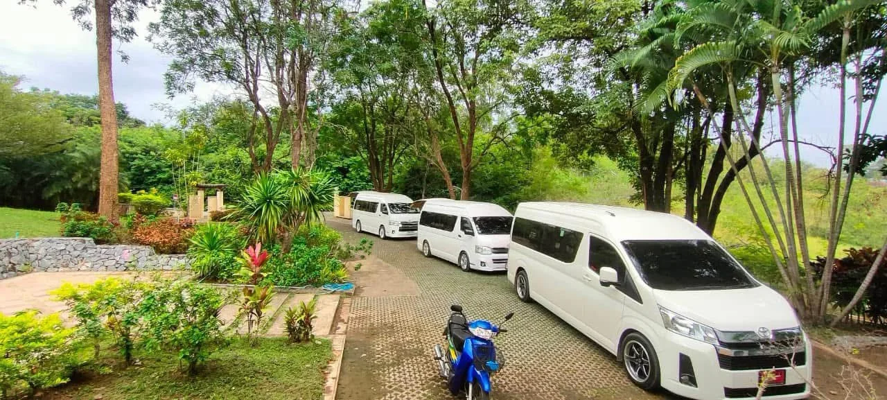 รถตู้ท่ามกลางร่มไม้